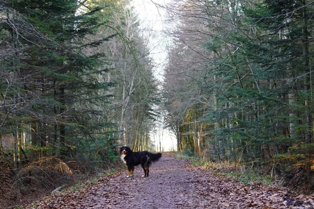 Ferienhaus Nannen Rechtsupweg Esterno foto