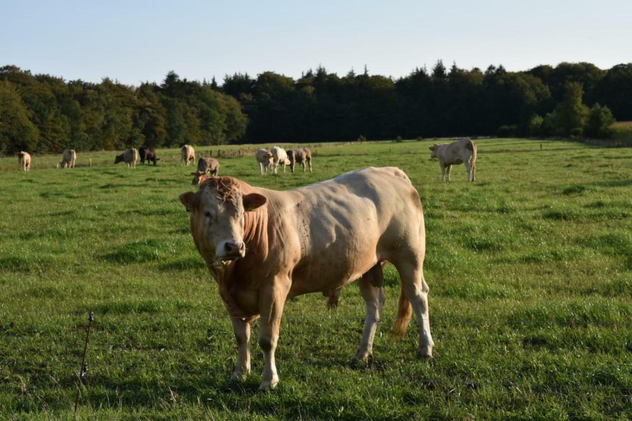 Ferienhaus Nannen Rechtsupweg Esterno foto