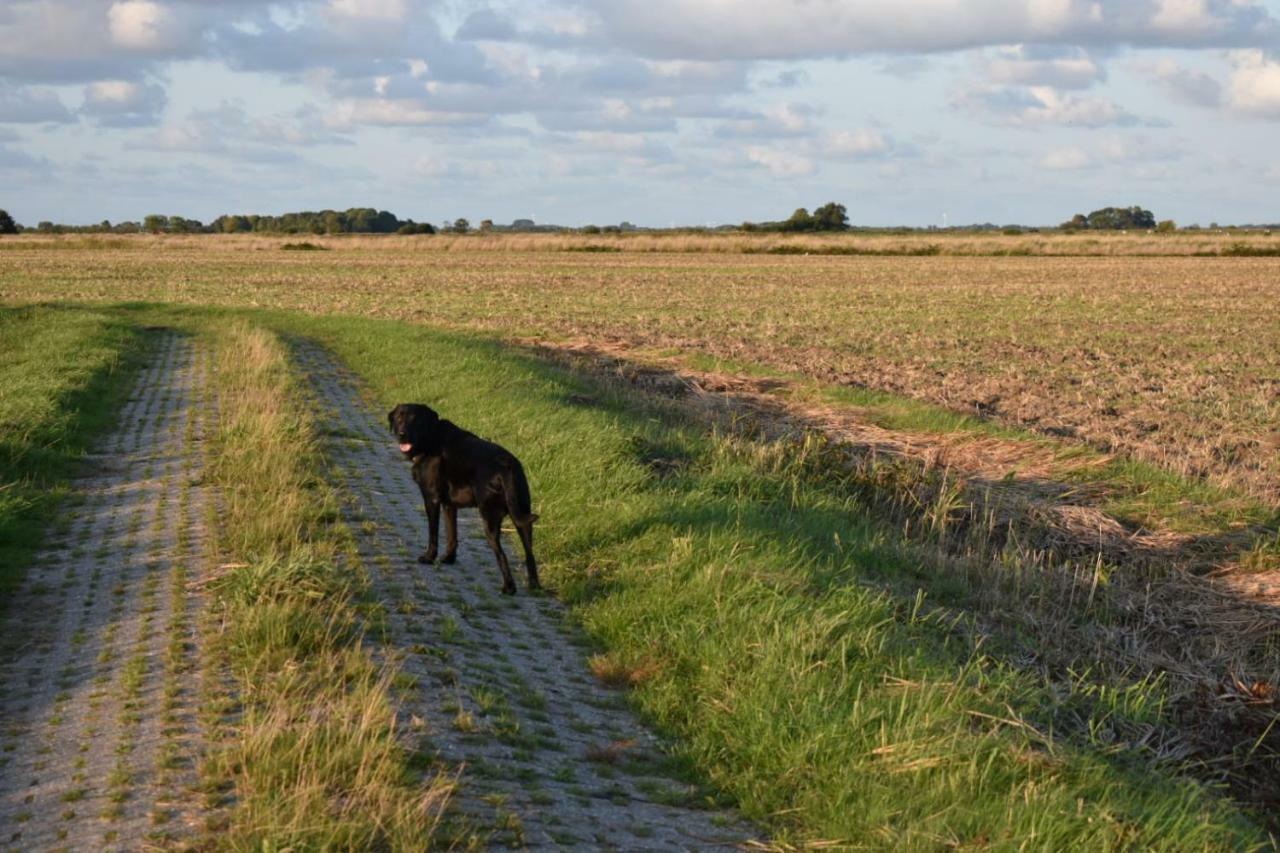 Ferienhaus Nannen Rechtsupweg Esterno foto